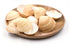 beige deep scallop seashells
